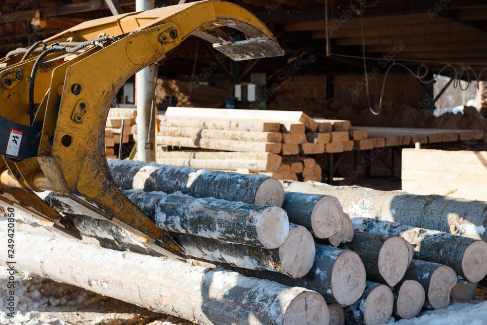 Fototapeta premium Tractor loads logs. Logs taken away. The manipulator loads the logs. Trees sawed.