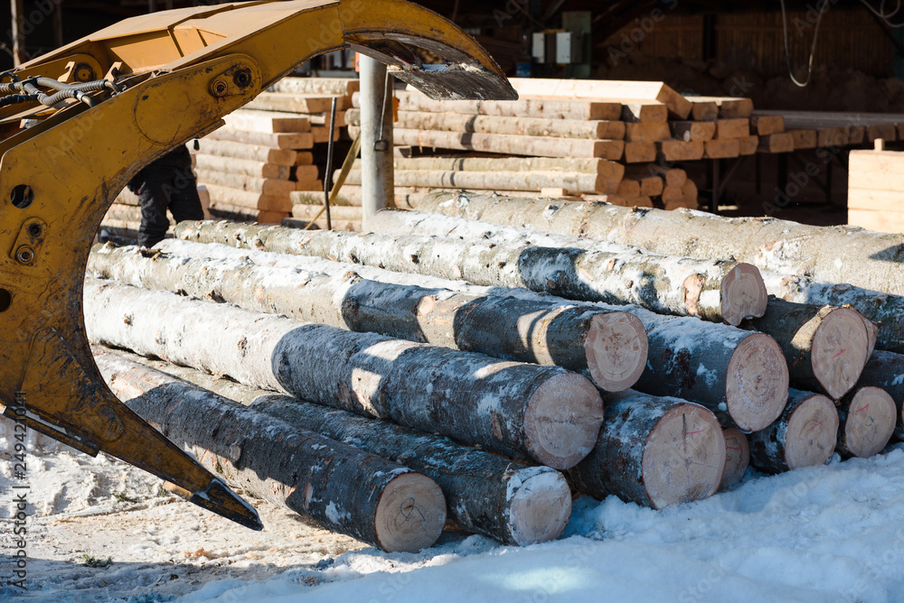 Tractor loads logs. Logs taken away. The manipulator loads the logs. Trees sawed. Tractor loads logs. Logs taken away. The manipulator loads the logs. Trees sawed.