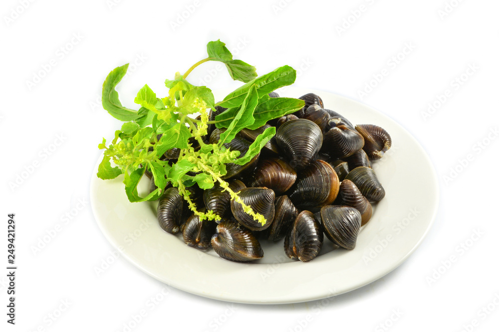Freshwater shellfish bivalve such as clams shell on plate and holy basil isolated on white background Freshwater shellfish bivalve such as clams shell on plate and holy basil isolated on white background