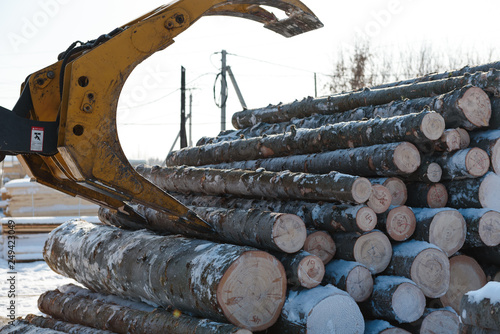 Fotografi Shipping logs on a special machine