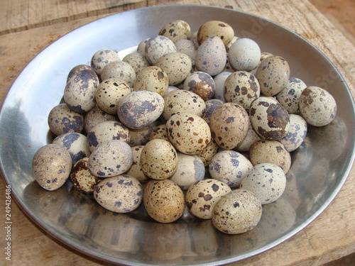 WHOLESOME ORGANIC HOMEGROWN AFRICAN QUAIL EGGS