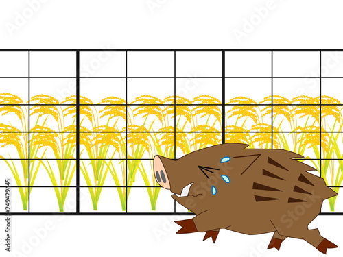 害獣の猪から農作物の被害を守るため、フェンスを設置している。