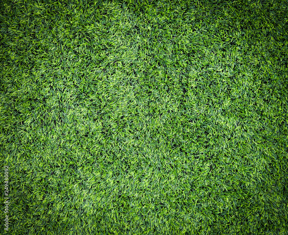 Fototapeta premium Green grass texture field background - top view