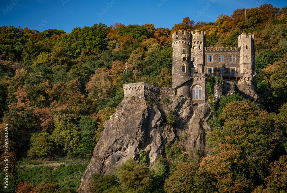Obraz premium Medieval castle in Rhine river hills in autumn.