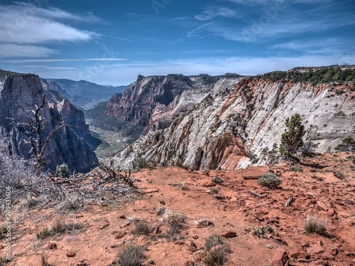 Obraz na plátně Observation Point in Zion Canyon