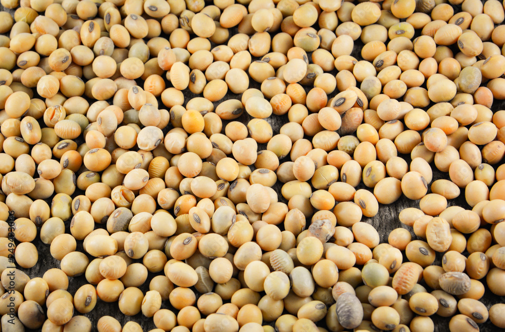 soybeans or soya beans grain seed on rustic wood background soybeans or soya beans grain seed on rustic wood background
