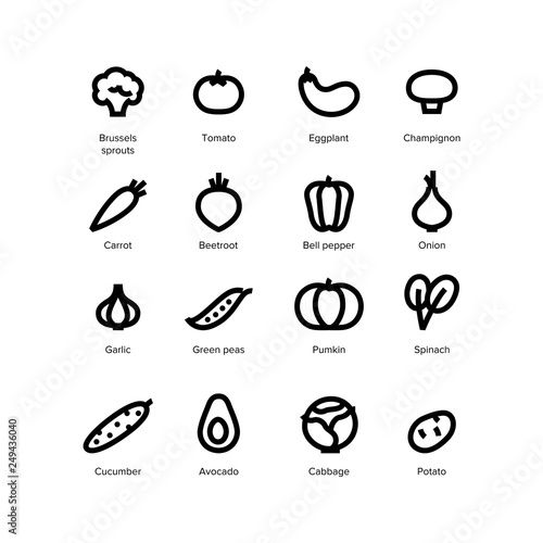 Vegetarian food icons vector set