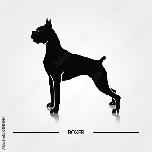 Boxer dog silhouette. Black silhouettes of breeds of dogs.