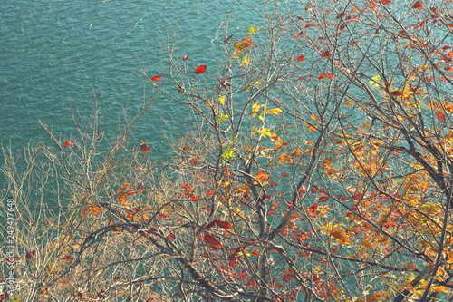 秋の奥多摩湖