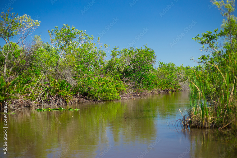 Everglades National Park. Swamps of Florida. Big Cypress National Preserve. Florida. USA. Everglades National Park. Swamps of Florida. Big Cypress National Preserve. Florida. USA.
