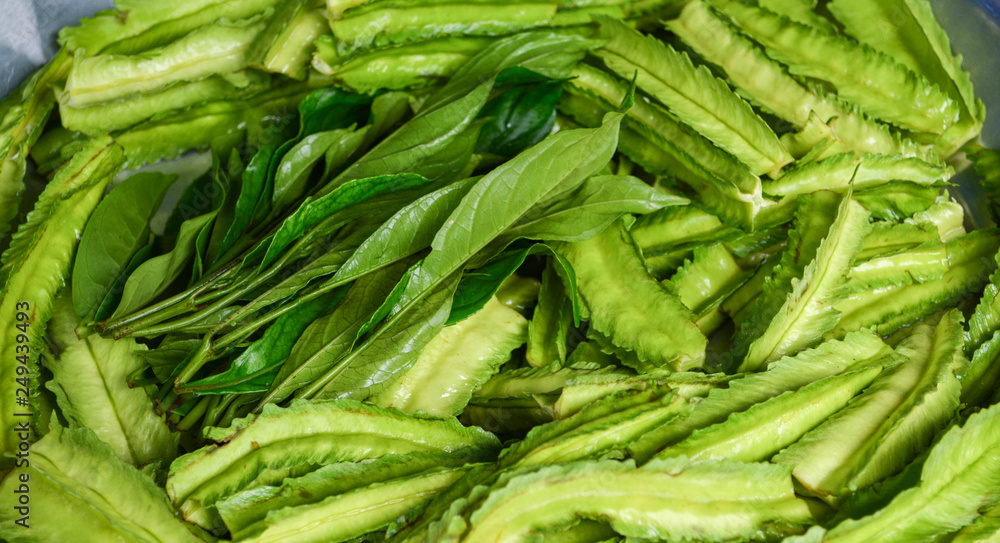 Fototapeta premium Fresh green winged bean vegetable background