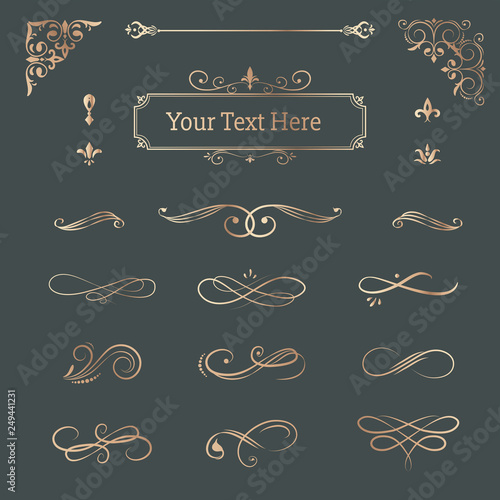 Vintage ornamental design elements