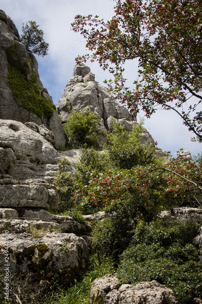 El Torcal Antequera National Park Malaga