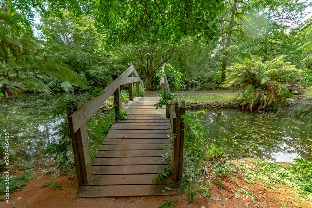 Obraz premium Bridge Through Green