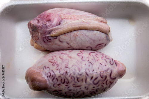 Bull testicles on a white plastic tray