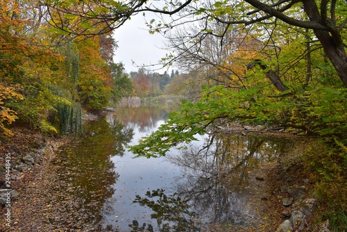 autumn in the park by the lakeshore © Biro