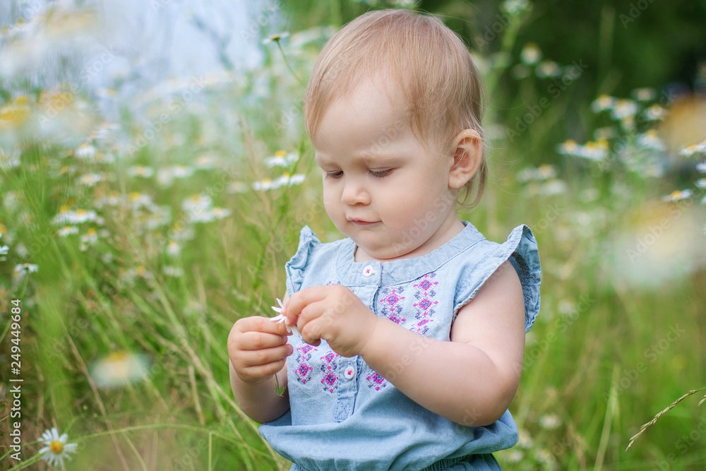 Little blonde girl walks in daisy field of blooming daisies sniffs flowers. Beautiful Caucasian blond hair girl walking and holding daisy flowers in the field Little blonde girl walks in daisy field of blooming daisies sniffs flowers. Beautiful Caucasian blond hair girl walking and holding daisy flowers in the field