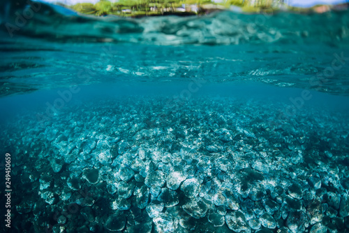 Underwater view with stones and blue water. © artifirsov