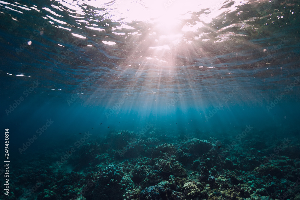 Obraz premium Tranquil underwater scene with corals in tropical sea and sunshine