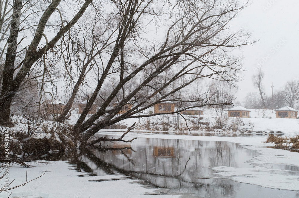 Fototapeta premium winter landscape frozen creek in the forest