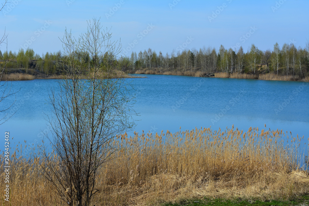 Landscape with tree on the background of picturesque lake with clear blue water. Early spring.