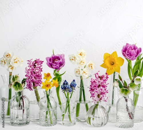 Spring flower in glass vases