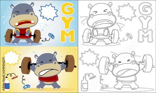 Vector of hippo cartoon the funny lifter , coloring book or page
