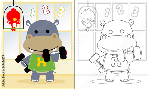 Vector of hippo cartoon lifting barbell with little bird, coloring book or page