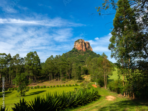 Konstfotografi Trail way to sandstone rock in up-country Sao Paulo - Brazil - Analandia Cuscuze