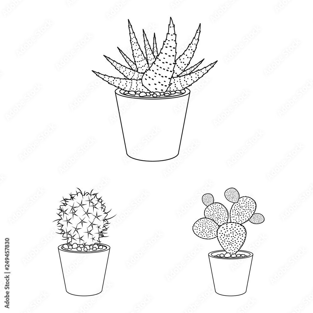 Vector illustration of cactus and pot icon. Set of cactus and cacti stock symbol for web. Vector illustration of cactus and pot icon. Set of cactus and cacti stock symbol for web.