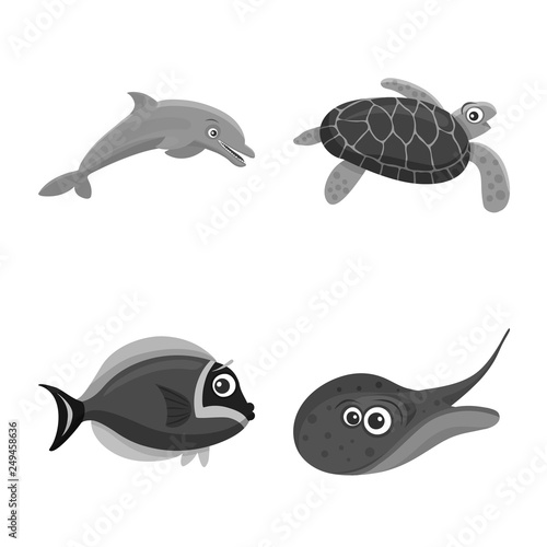 Vector illustration of sea and animal symbol. Set of sea and marine stock symbol for web.