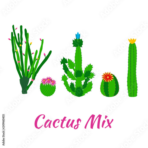 Vector collection of cactus