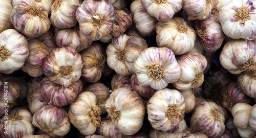 Heap of violet garlic at the market store. Food background and texture