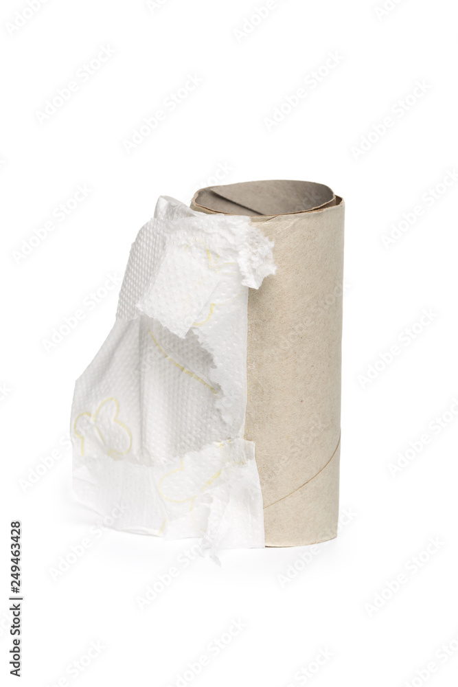 toilet paper roll on white background. toilet paper roll on white background.