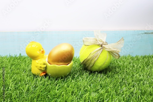 Chicken and eggs with Tennis ball on green grass