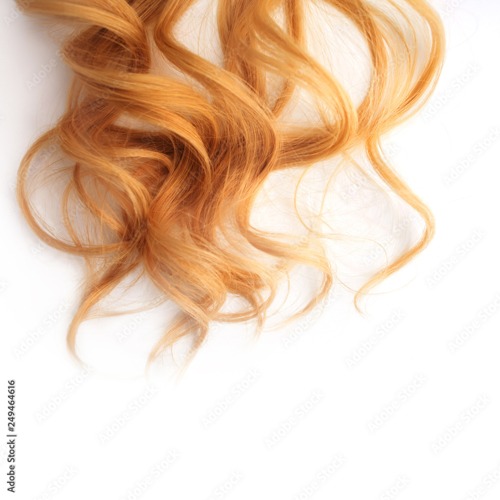 Blonde Curls hair isolated on white background. strand of light or red hair, hair care