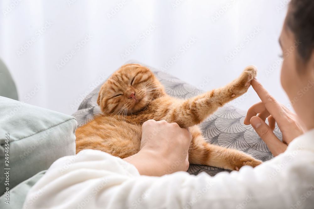 Young woman with cute funny cat at home Young woman with cute funny cat at home