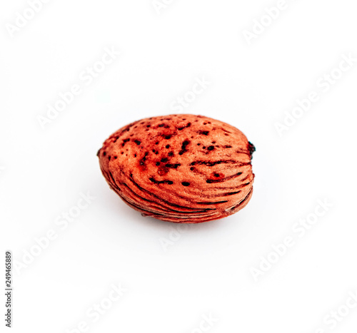 One brown apricot pit, isolated on white background. photo