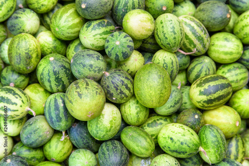 Top view of fresh ripe green small watermelons. Fruit background Top view of fresh ripe green small watermelons. Fruit background