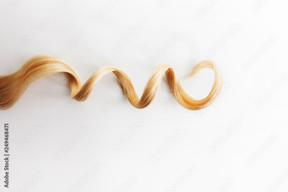 Obraz premium Curls curled on the Curling iron, isolated on white background. one strand of blonde or red hair, hair care