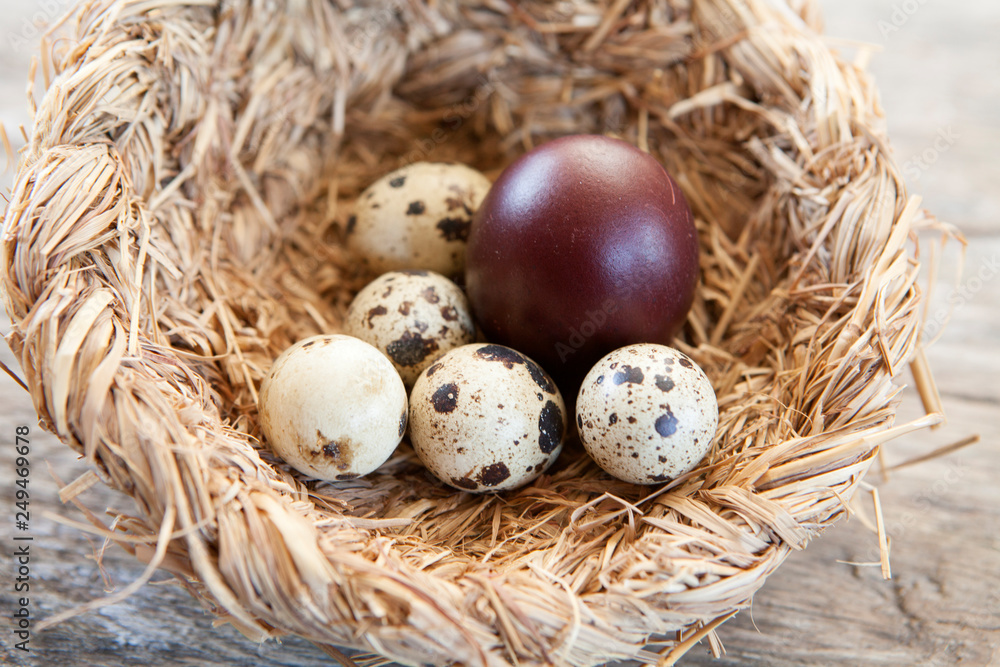 Obraz premium oeufs de pâques