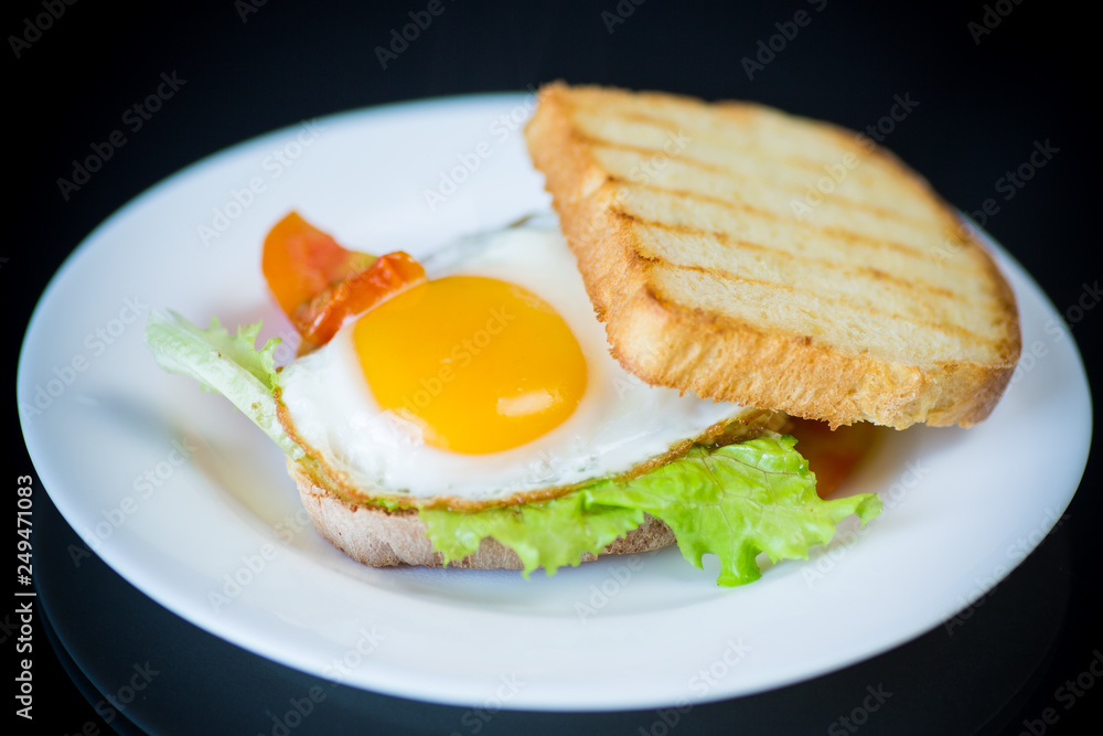Fototapeta premium fresh sandwich with lettuce leaves and fried egg with hot toasts