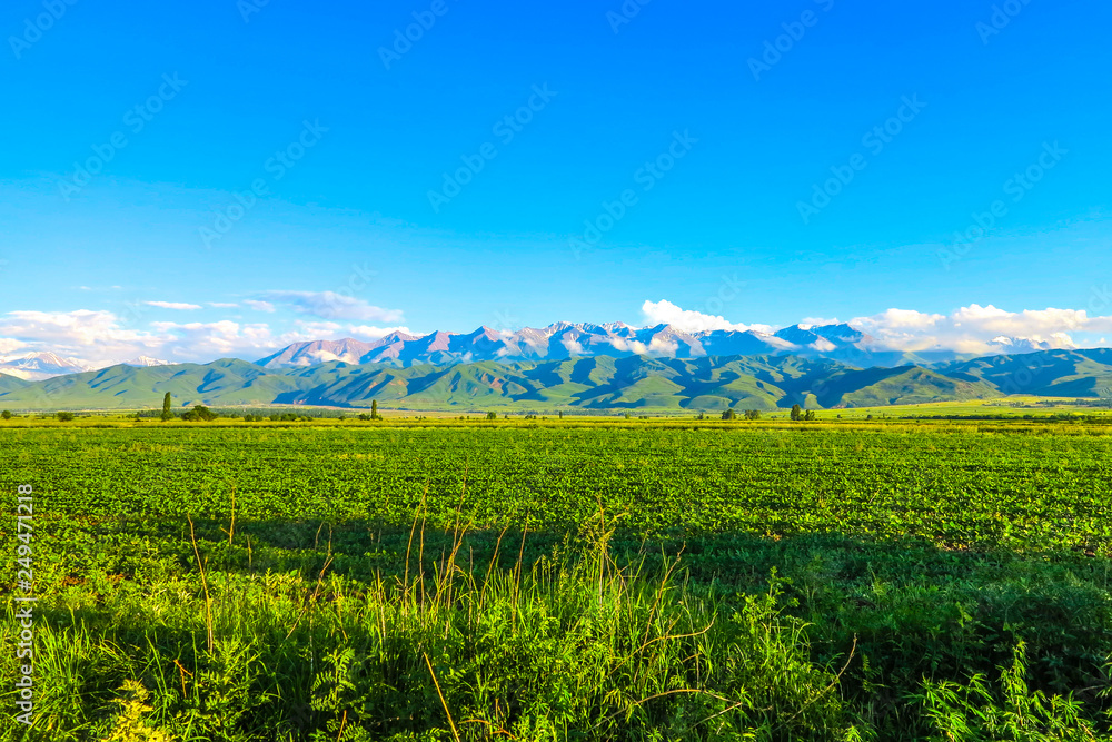 Fototapeta premium Tokmok Burana Tower Minaret 09