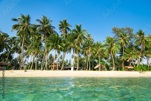 Summer nature scene. coconut palm trees with blue sky 