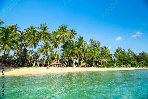 Summer nature scene. coconut palm trees with blue sky 