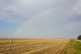 Rainbow in the sky after the harvest