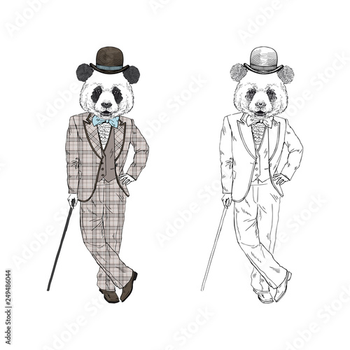 Humanized panda bear man dressed up in vintage gentleman suit bowler hat with walking stick. Hand drawn vector illustration. Furry art image.