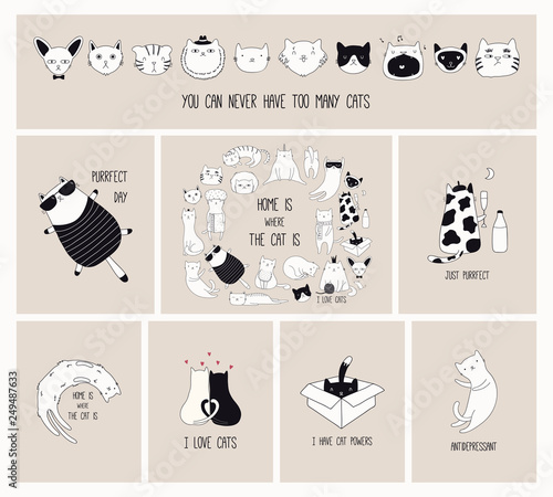 Set of cards with cute monochrome doodles of different cats with funny quotes for cat lovers. Hand drawn vector illustration. Line drawing. Design concept for poster, t-shirt, fashion print.