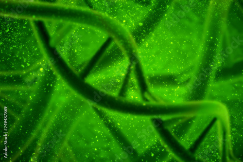 3d render of dna structure, abstract background