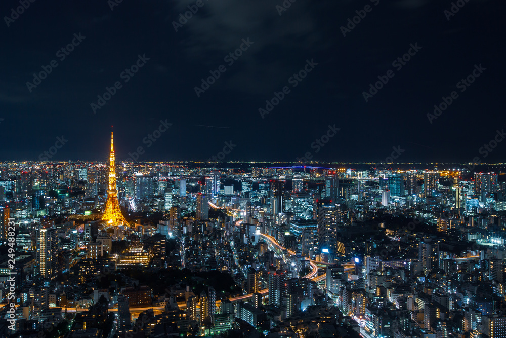 Obraz premium Tokyo Cityscape at Japan